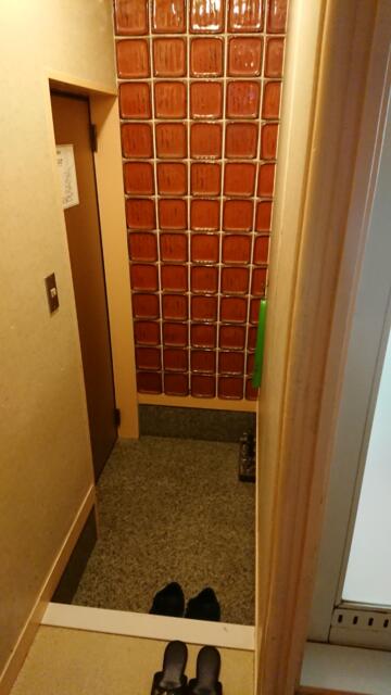 ホテルいいじま(新宿区/ラブホテル)の写真『209号室、入口』by ビデ三郎