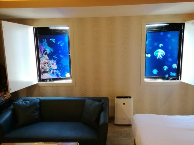 stories HOTEL555 秦野店(秦野市/ラブホテル)の写真『203号室、海を意識した窓です。(24,4)』by キジ
