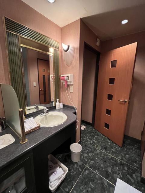ホテル プレステージ(荒川区/ラブホテル)の写真『502号室　玄関ドアと洗面所』by ターボー⤴️