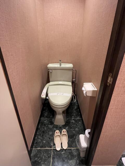 ホテル プレステージ(荒川区/ラブホテル)の写真『502号室　トイレ』by ターボー⤴️