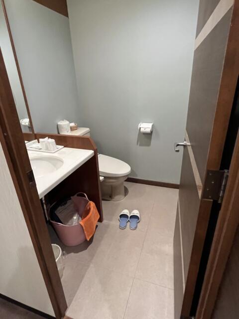 ホテルLALA33(豊島区/ラブホテル)の写真『302号室　トイレ、洗面所、右側に浴室』by ターボー⤴️