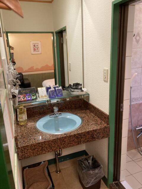 ホテル ルポ(墨田区/ラブホテル)の写真『504号室洗面台』by yamasada5
