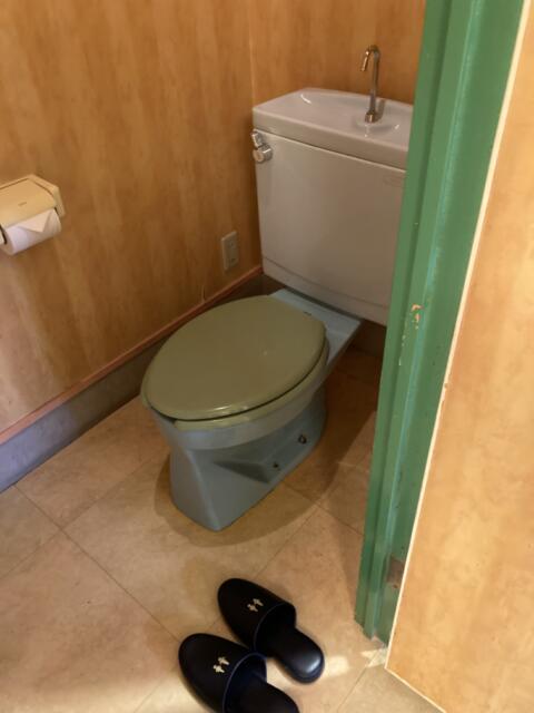 ホテル ルポ(墨田区/ラブホテル)の写真『504号室トイレ』by yamasada5