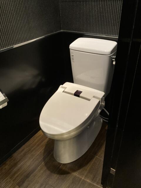 HOTEL EMERALD（エメラルド）(品川区/ラブホテル)の写真『303号室トイレ』by yamasada5