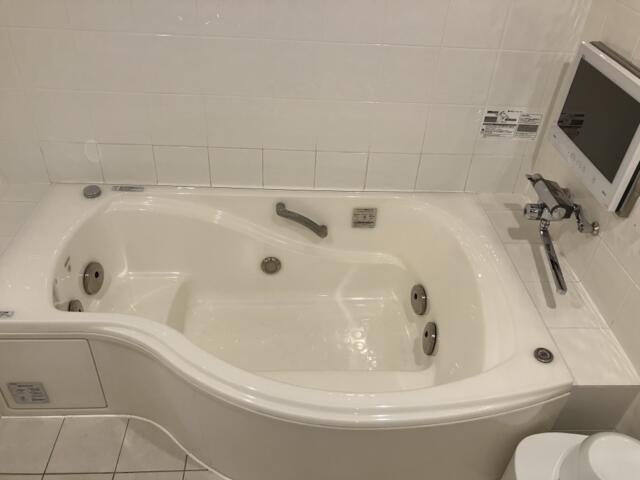 ホテル グッドワン(さいたま市大宮区/ラブホテル)の写真『210号室 浴室（5）』by サトナカ