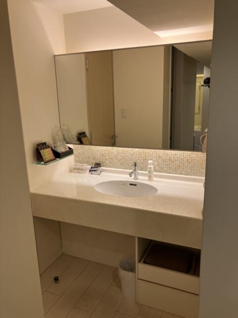ホテル グッドワン(さいたま市大宮区/ラブホテル)の写真『210号室　洗面コーナー』by サトナカ