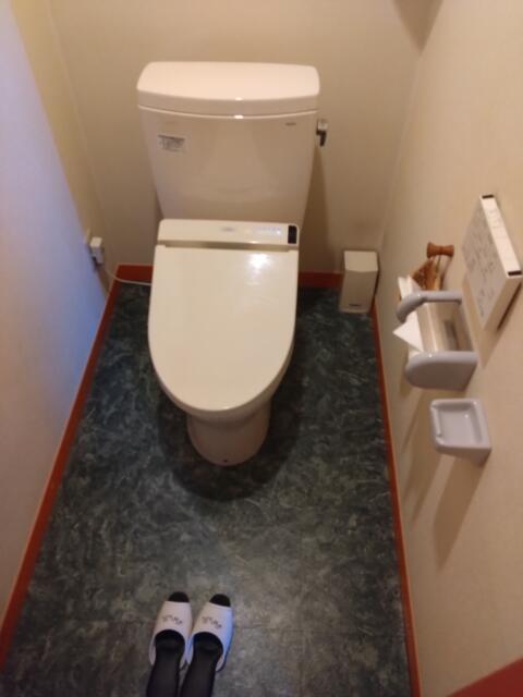 HOTEL R&K（アールアンドケー）(越谷市/ラブホテル)の写真『503号室　トイレ2』by beat takeshi