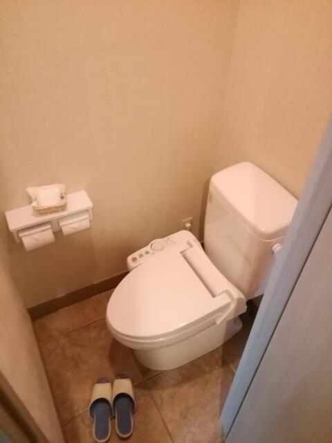 HOTEL PACIFIC(パシフィック)(茅ヶ崎市/ラブホテル)の写真『305号室、トイレです。(24,4)』by キジ