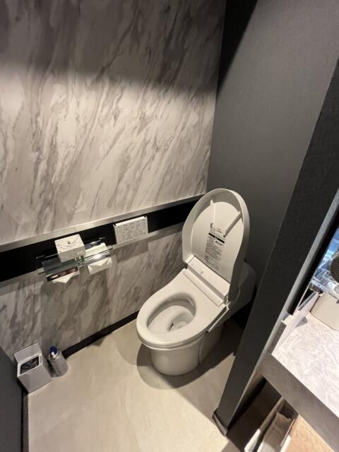 HOTEL VARKIN 池袋西口店(豊島区/ラブホテル)の写真『206号室　トイレ』by ま〜も〜る〜
