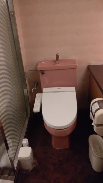 FIRST(ファースト)(池田市/ラブホテル)の写真『207号室、トイレ』by Sparkle