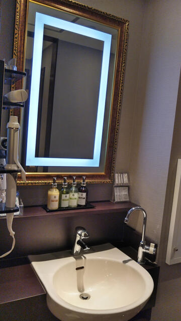 HOTEL GRANSKY（グランスカイ）(墨田区/ラブホテル)の写真『411号室 洗面台』by 午前３時のティッシュタイム