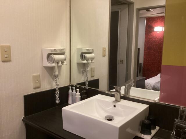 HOTEL CORE 池袋(豊島区/ラブホテル)の写真『501号室 洗面台』by ACB48