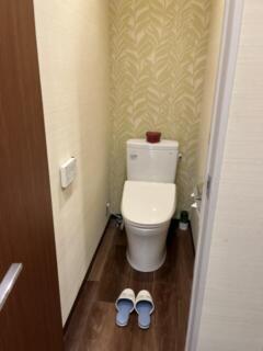 K Slit（ケイスリット）(船橋市/ラブホテル)の写真『507号室　トイレ』by ターボー⤴️