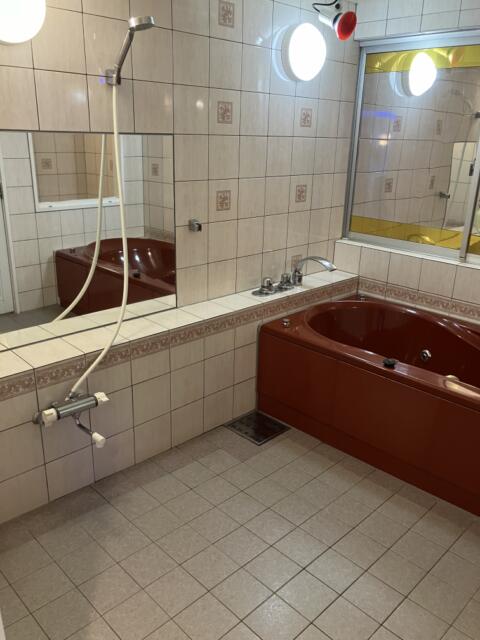ホテル ムーンパティオ(豊島区/ラブホテル)の写真『255号室 浴室（１）』by サトナカ