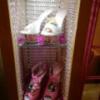 HOTEL SARA petit(サラプチ)(宮代町/ラブホテル)の写真『22号室、靴のオブジェに人形が…(24,5)』by キジ