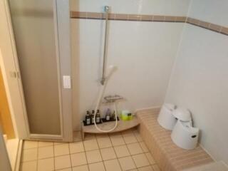 HOTEL SARA petit(サラプチ)(宮代町/ラブホテル)の写真『22号室、浴室洗い場です。(24,5)』by キジ