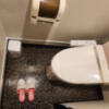 AUGUSTA DUO(アウグスタ デュオ)(台東区/ラブホテル)の写真『23号室、トイレ』by イシバシ