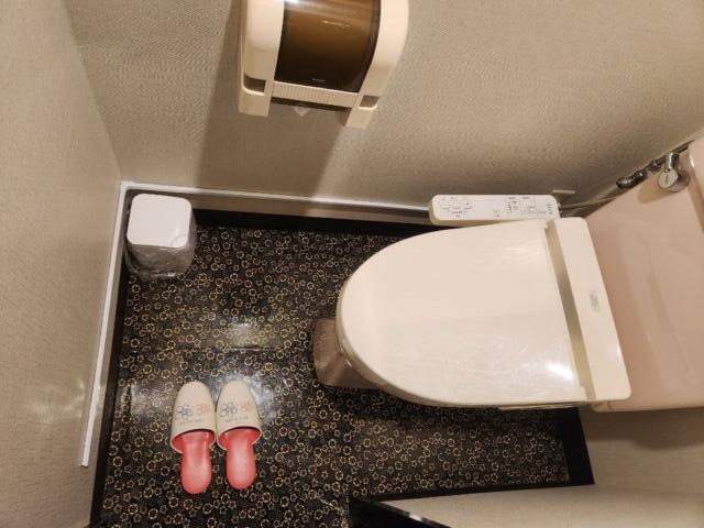 AUGUSTA DUO(アウグスタ デュオ)(台東区/ラブホテル)の写真『23号室、トイレ』by イシバシ