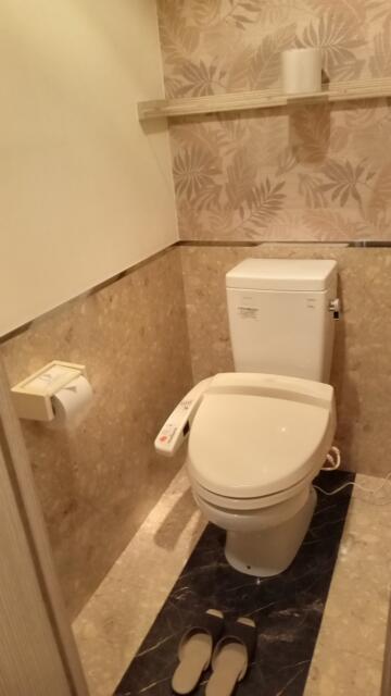 センチュリー(千葉市中央区/ラブホテル)の写真『101号室　Luxuryタイプ　トイレ』by K61