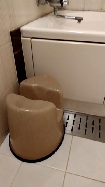 オリオン(立川市/ラブホテル)の写真『208号室（浴室の椅子）』by ＪＷ