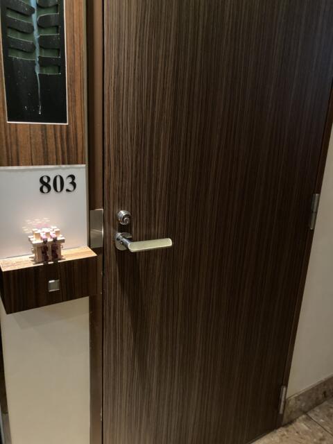 UNITED（ユナイテッド）(台東区/ラブホテル)の写真『803号室ドア』by yamasada5