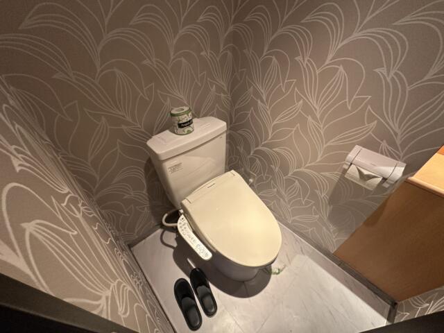 レジェンド(江戸川区/ラブホテル)の写真『302号室 トイレ いたって普通』by ネコシ