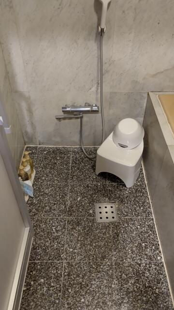 リンクス(柏市/ラブホテル)の写真『116号室お風呂洗い場』by まこぽん