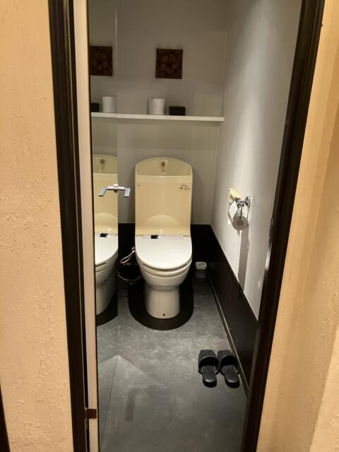 カップルズインハッピー(松戸市/ラブホテル)の写真『502号室 トイレ』by サトナカ