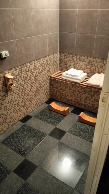 HOTEL RANA（ラーナ）(岐阜市/ラブホテル)の写真『308号室、岩盤浴』by カートゥーン
