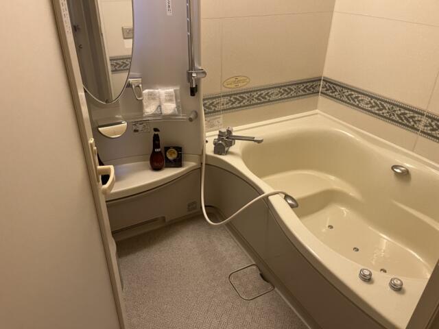 ホテルアンジュ(仙台市青葉区/ラブホテル)の写真『501号室お風呂』by Ｔすけ