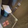 シャトン(新宿区/ラブホテル)の写真『204号室 トイレ』by 最弱のネコ