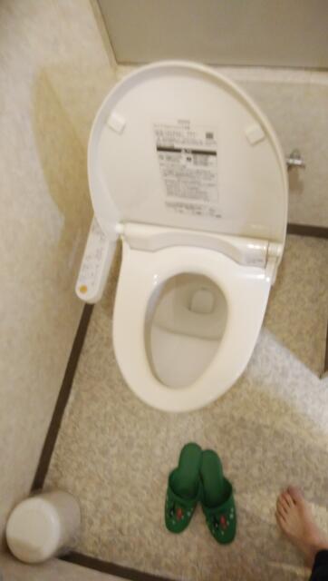 ホテル夕月 別館(さいたま市大宮区/ラブホテル)の写真『309号室御手洗(トイレ)』by サブイチ革命