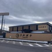 ツルガナホテル(全国/ラブホテル)の写真『昼の外観』by tkctkc