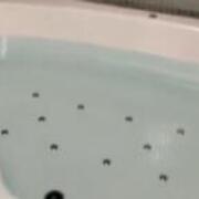 HOTEL MYTH 安曇野(ホテル マイス アズミノ)(安曇野市/ラブホテル)の写真『203号室　バスルーム』by しょうぴい