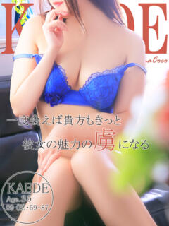 割引イメージ 広島で評判のお店はココです！（薬研堀/デリヘル）