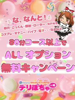 割引イメージ デリぽちゃin柏(FG系列)(柏/デリヘル)