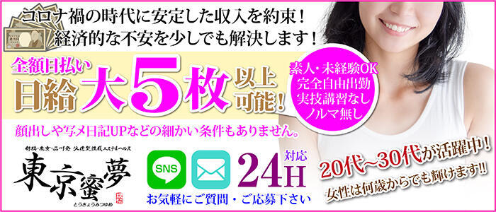 派遣型性感エステ&ヘルス 東京蜜夢(高収入バイト)(新橋・品川発・23区/回春性感マッサージ)