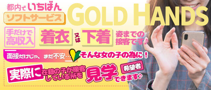 ゴールドハンズ(高収入バイト)(新橋/手コキ)