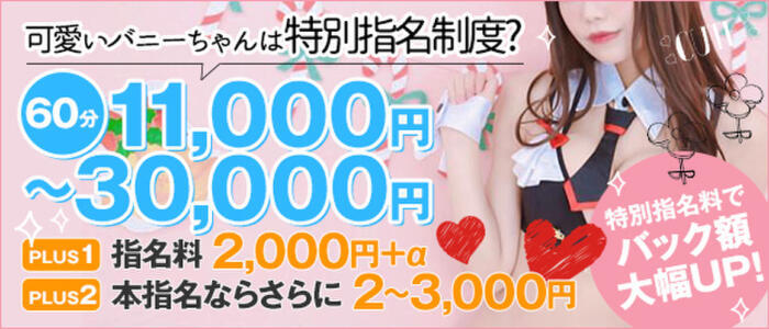 バニーコレクション(高収入バイト)(宇都宮/ソープランド)