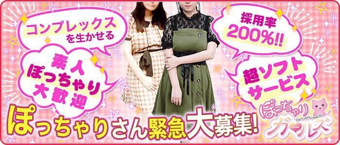 ぽっちゃりガールズ(高収入バイト)(新大久保発・近郊/デリヘル)