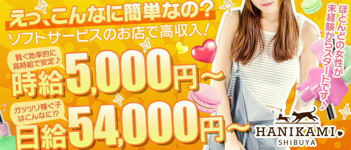 ハニカミ(高収入バイト)(渋谷/ピンサロ)