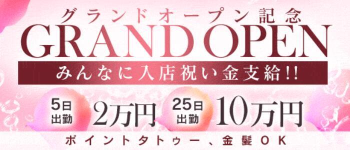 特徴 - ロマネコンティ プレジール(高収入バイト)(吉原/ソープランド)