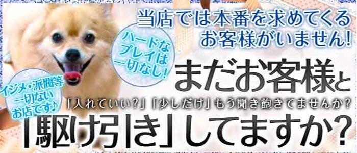 特徴 - Club Shangrila(クラブシャングリラ)(高収入バイト)(難波発・近郊/ホテヘル&デリヘル)