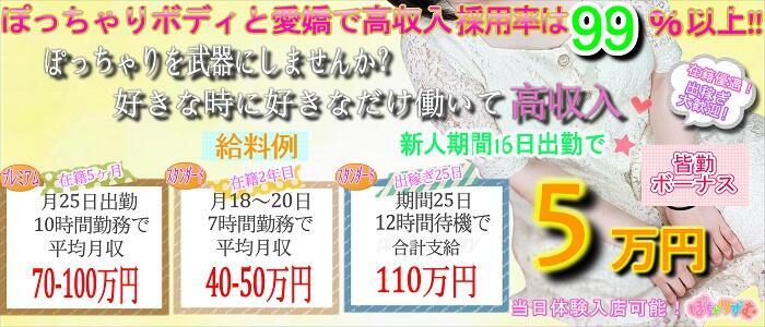 ぽちゃりずむ(高収入バイト)(西川口発・近郊/ぽっちゃりデリヘル)