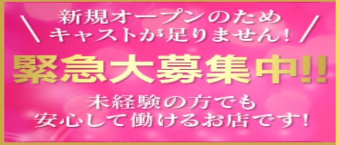 美女図鑑　長岡店(高収入バイト)(長岡発・近郊/デリヘル)