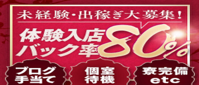 新潟遊郭(高収入バイト)(新潟発・近郊/デリヘル)