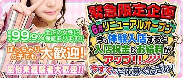 静岡沼津三島ちゃんこ(高収入バイト)(沼津発・近郊/ぽっちゃり専門デリヘル)