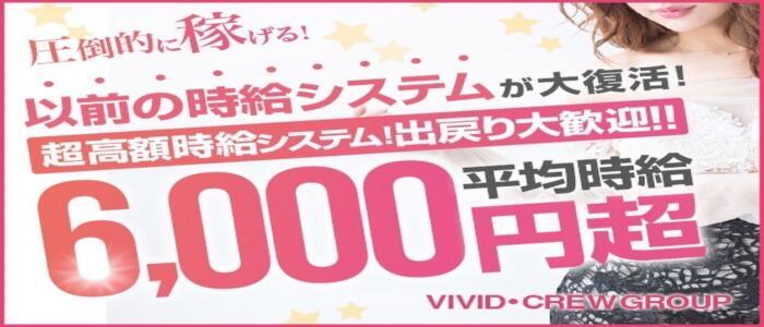 VIVIDCREW十三店(高収入バイト)(十三/セクキャバ)