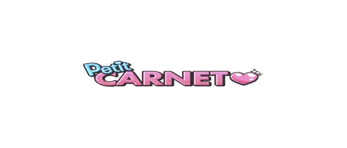 Petit CARNET(高収入バイト)（新宿発・23区/デリヘル）