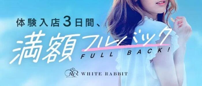 White Rabbit 横浜(高収入バイト)（横浜発・近郊/デリヘル）